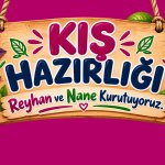 KIŞ HAZIRLIĞI; Reyhan ve Nane Kurutuyoruz!